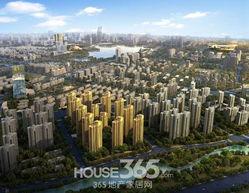 国贸天琴湾最新消息爆料,揭秘神秘项目进展与亮点